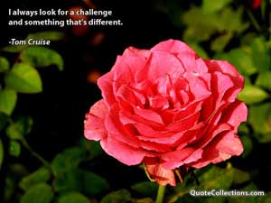 tom_cruise_quotes Quotes 2